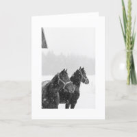 Navidades de equitación navideños en caballos de n