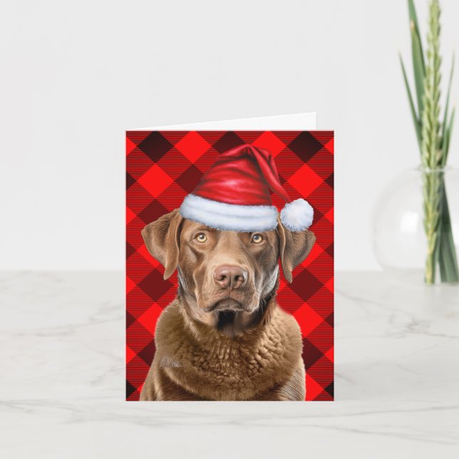Tarjeta Festiva Navidades de escúfalo de Chesapeak Bay Retriever (Anverso)