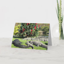 Navidades de Florida Gator