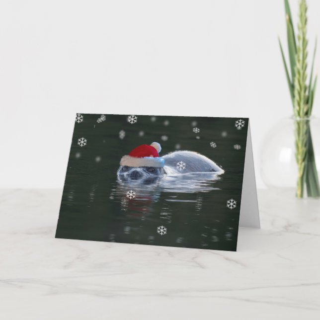 Tarjeta Festiva Navidades de focas (Anverso)