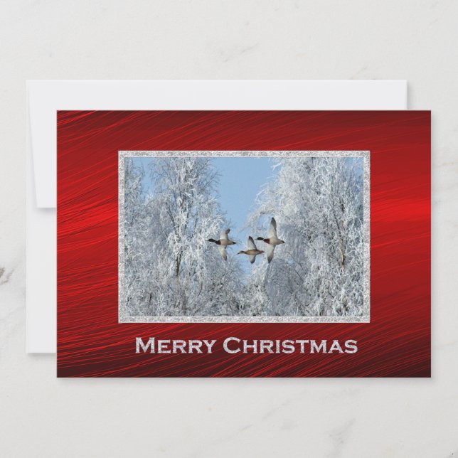 Tarjeta Festiva Navidades de foto de nieve volando en patos mallar (Anverso)