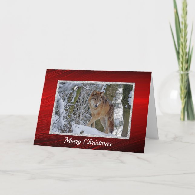 Tarjeta Festiva Navidades de foto de Wildlife Wolf Snow (Anverso)