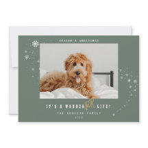 Navidades de foto de WonderFUR Life Mascota