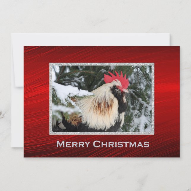 Tarjeta Festiva Navidades de fotografía de gallo de gallo Pine Sno (Anverso)