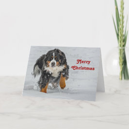 Tarjeta Festiva Navidades de fotografía de la niebla de perro de m