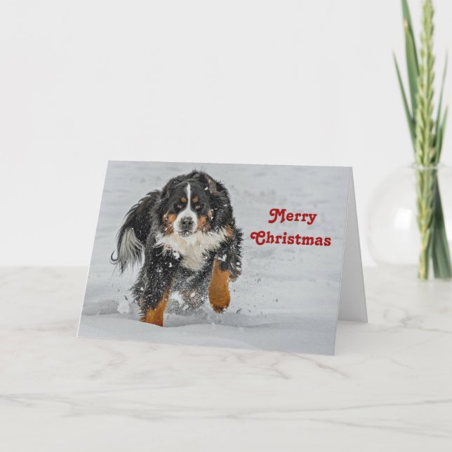 Tarjeta Festiva Navidades de fotografía de la niebla de perro de m (Anverso)