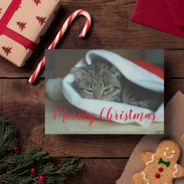 Tarjeta Festiva Navidades de fotografía de Meowy Navidades (Subido por el creador)