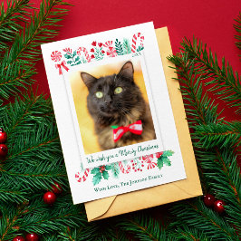 Tarjeta Festiva Navidades de fotografía de Meowy Navidades