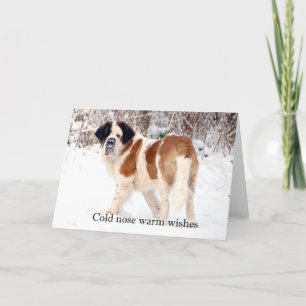 Tarjeta Festiva Navidades de fotografía de nieve de San Bernardo s