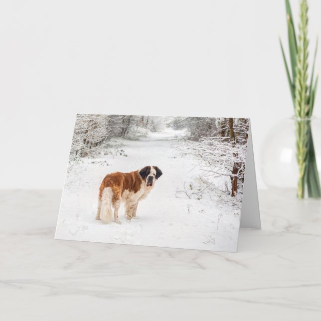Tarjeta Festiva Navidades de fotografía de nieve de San Bernardo s (Anverso)