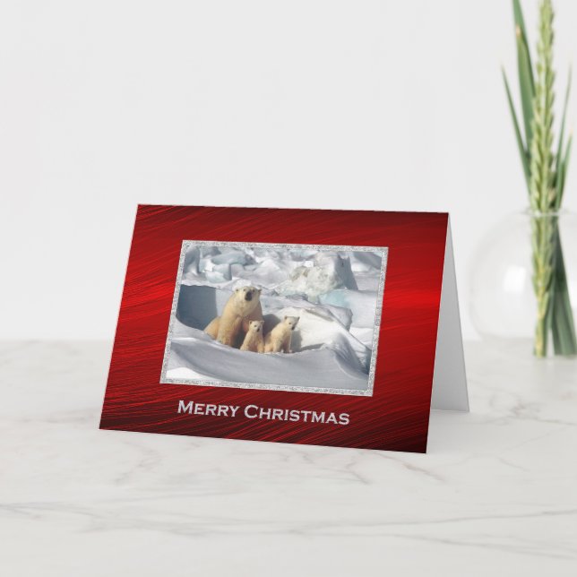 Tarjeta Festiva Navidades de fotografía de ositos polares (Anverso)