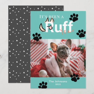 Tarjeta Festiva Navidades de fotografía de perro azul turquesa de 
