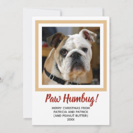 Tarjeta Festiva Navidades de fotografía de perro Bah Humbug Pale G
