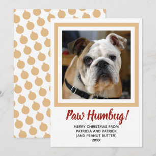 Tarjeta Festiva Navidades de fotografía de perro Bah Humbug Pale G