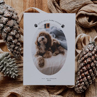 Navidades de fotografía de perro con nariz fría y 