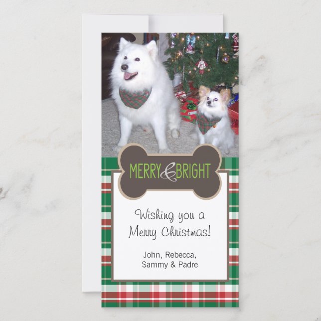 Tarjeta Festiva Navidades de fotografía de perro saludando (Anverso)
