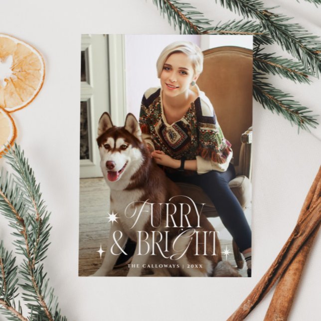 Tarjeta Festiva Navidades de fotografía de perros clásicos de pelu (Subido por el creador)