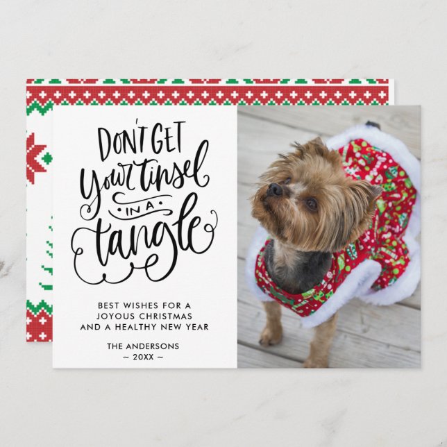 Tarjeta Festiva Navidades de fotografía graciosos Mascotas de perr (Anverso / Reverso)