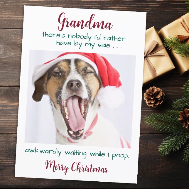 Tarjeta Festiva Navidades de fotografía Mascotas personalizados de (Subido por el creador)