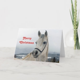 Tarjeta Festiva Navidades de fotos de caballos blancos de bonito