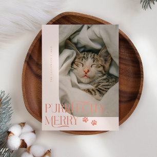 Tarjeta Festiva Navidades de fotos de gatos de merry puramente