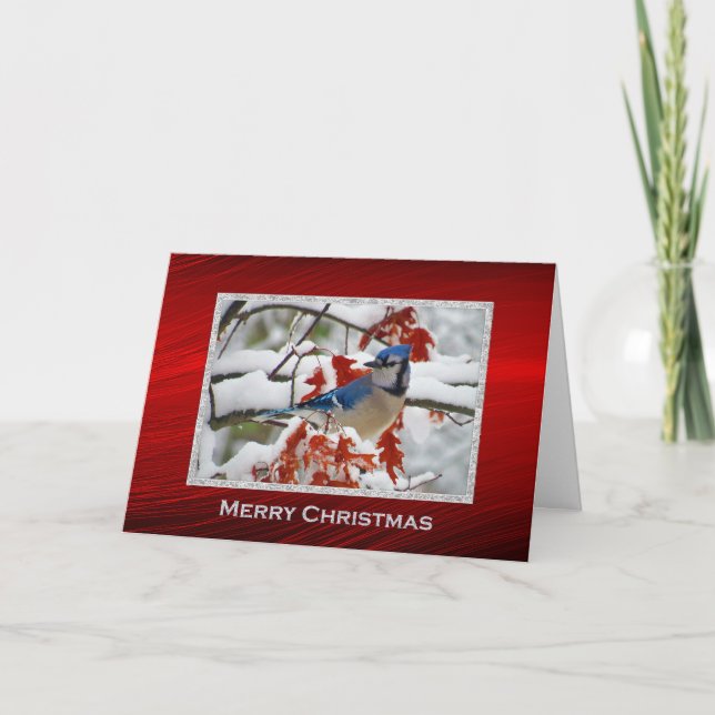 Tarjeta Festiva Navidades de fotos de Jay Blue Snow del bonito (Anverso)