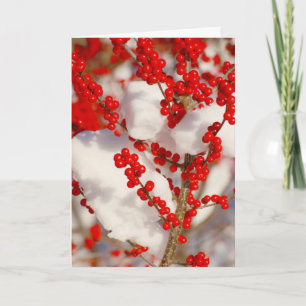 Tarjeta Festiva Navidades de fotos de la nieve de Berries Rojas en