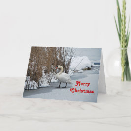 Tarjeta Festiva Navidades de fotos de la nieve de cisne blanco Bon