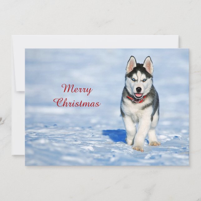 Tarjeta Festiva Navidades de fotos de la nieve de Marihuana Husky (Anverso)