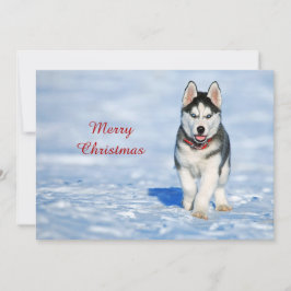 Tarjeta Festiva Navidades de fotos de la nieve de Marihuana Husky