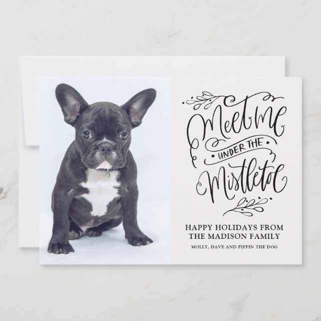 Tarjeta Festiva Navidades de fotos de perros copiosos citan a Mist (Anverso)