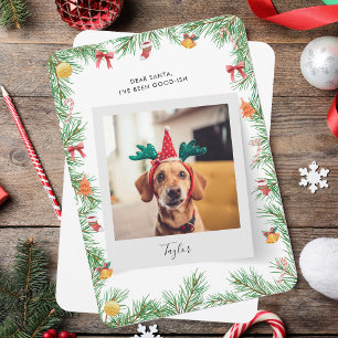 Tarjeta Festiva Navidades de fotos de perros traviesos o graciosos