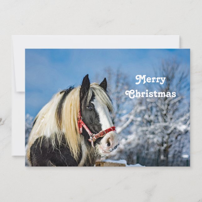Tarjeta Festiva Navidades de fotos de pintura de caballos planos (Anverso)