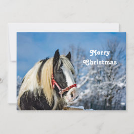 Tarjeta Festiva Navidades de fotos de pintura de caballos planos