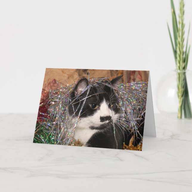 Tarjeta Festiva Navidades de gatitos de Naughty Tuxedo (Anverso)