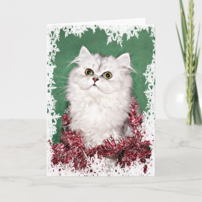 Tarjeta Festiva Navidades de gatitos de Persia (Anverso)