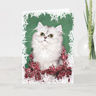 Tarjeta Festiva Navidades de gatitos de Persia