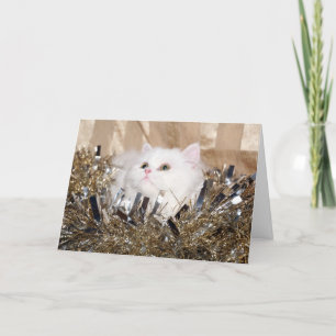 Tarjeta Festiva Navidades de gatitos de raza blanca