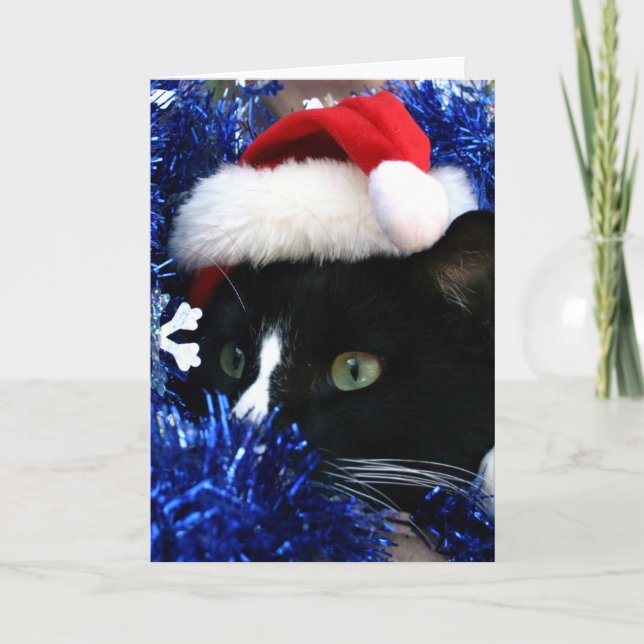 Tarjeta Festiva Navidades de gato de esmoquin blanco y negro gorra (Anverso)
