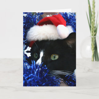 Tarjeta Festiva Navidades de gato de esmoquin blanco y negro gorra