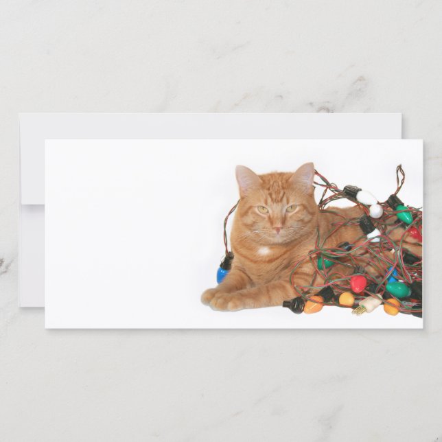 Tarjeta Festiva Navidades de gato enmarañan (Anverso)