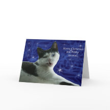 Navidades de gato Filthy Animal