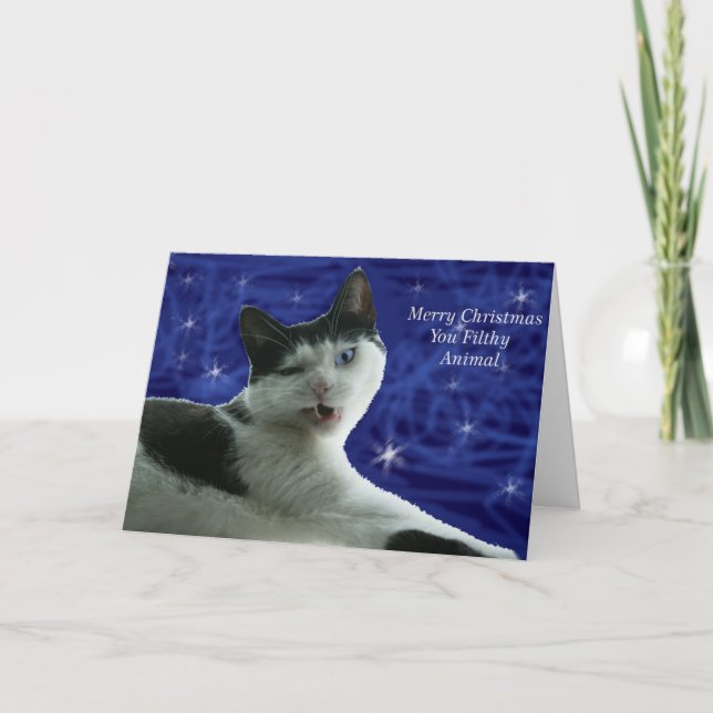 Tarjeta Festiva Navidades de gato Filthy Animal (Anverso)