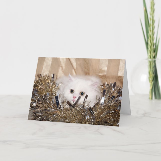 Tarjeta Festiva Navidades de gatos de raza blanca (Anverso)