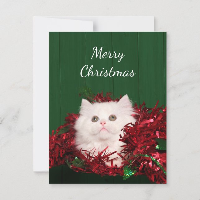Tarjeta Festiva Navidades de gatos de raza blanca (Anverso)
