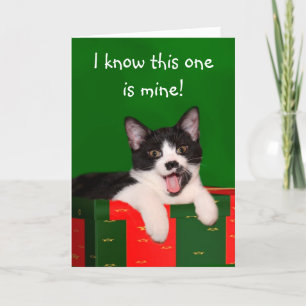 Tarjeta Festiva Navidades de gatos de Tuxedo