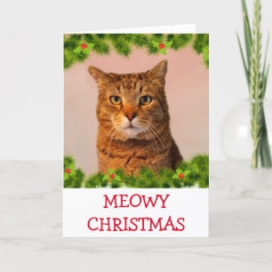 Tarjeta Festiva Navidades de gatos fotográficos personalizados