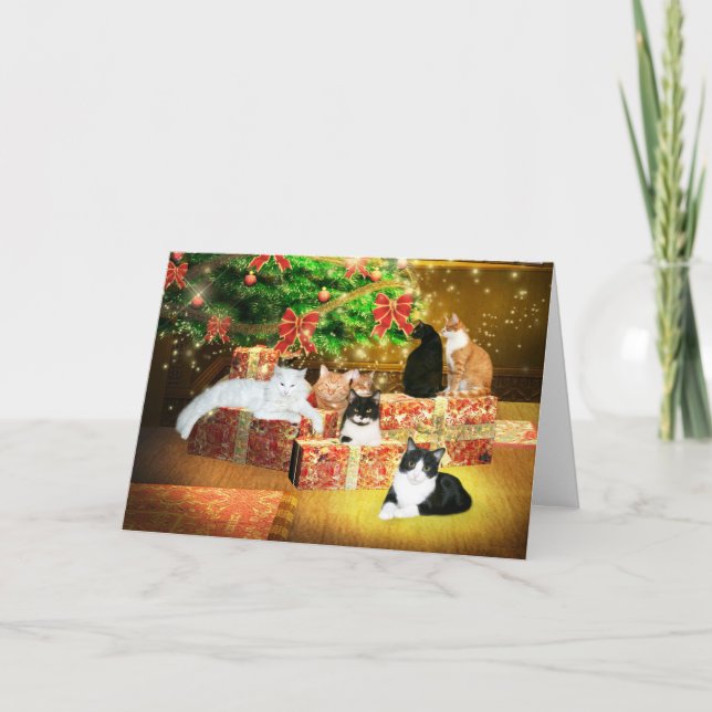 Tarjeta Festiva Navidades de gatos gatitos (Anverso)