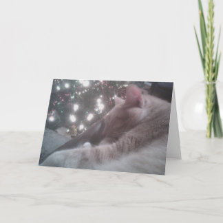 Tarjeta Festiva Navidades de gatos más tigre
