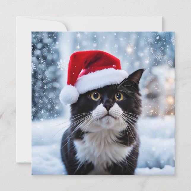 Tarjeta Festiva Navidades de gatos negros y blancos (Anverso)